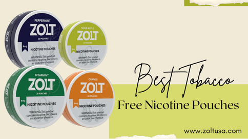 Best Tobacco Free Nicotine Pouches